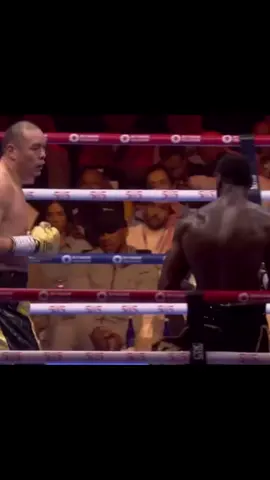 Deontay Wilder X Love Me Not #fyp #boxing🥊 #wilder #zhang #tysonfury #fury 
