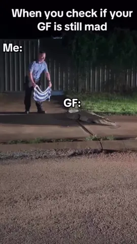 #creatorsearchinsights 