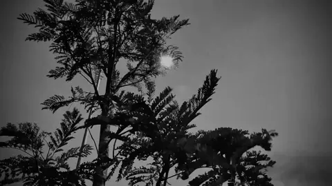 តែបងគ្មានសិទ្ធិនិយាយពាក្យ«នឹក»ទៅអូនទៀតទេ #sunserumhang #sunsprayhang #serumhang @CEO HANG Brand 