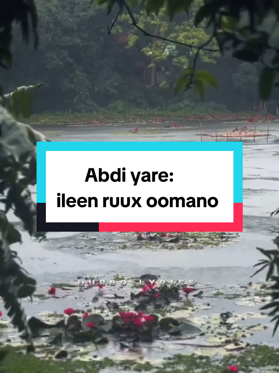 Jacaylka Raga iyo dumar yuu ku badan yahay ?  #lyrics #cabdiyare #qurbolyrics1 #somalimusic #heeso #jacayl #somalitiktok #viralvideo #foryoupage #fypシ゚viral #musicvideo #views 