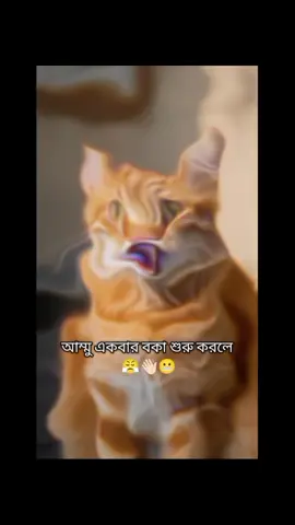 কিতা যে করতাম...!!😫😫😫#fypシ゚ #virall #foryou #trinding #foryoutrick #foryoupage #Bangladesh🇧🇩 #fppppppppppppppppppp #fyyyyyyyyyyyyyyyy @TikTok @TikTok Bangladesh 