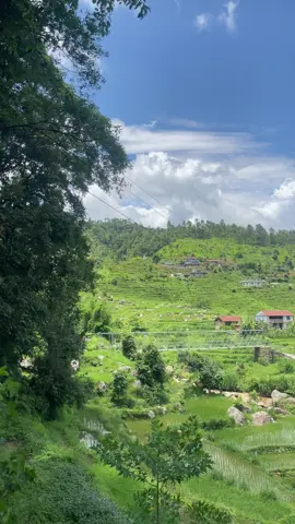 Peace🍃 #fyp #villagelife #nepal #nature #peace #viral 