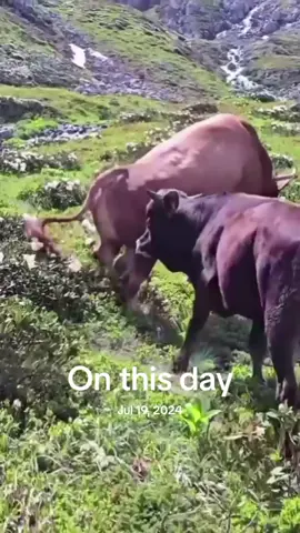 #onthisday