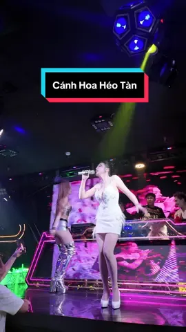 Beat mới của “Cánh Hoa Héo Tàn” nào mn ơiii 🐰 #mochiii #acventertainment #canhhoaheotan 