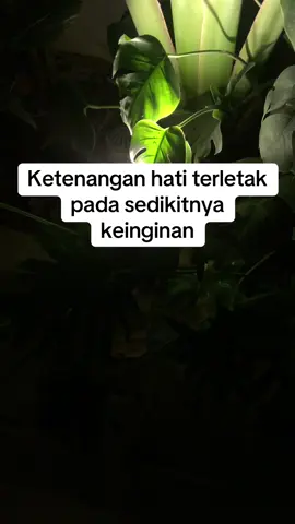 Ketika seseorang terlalu banyak menginginkan sesuatu—baik itu harta, jabatan, pengakuan, atau hal-hal duniawi lainnya—ia cenderung merasa gelisah, cemas, bahkan iri hati jika keinginannya belum tercapai. Sebaliknya, dengan membatasi keinginan dan bersyukur atas apa yang dimiliki, seseorang dapat mencapai kedamaian batin dan hidup lebih sederhana namun bermakna. #tiktok #foryou #foryoupage #motivasi #motivasihidup #hidupdamai #ketenangan #video #videoviral #viral #viralvideo #tiktokvideo #hidup #inspiration #tenang 