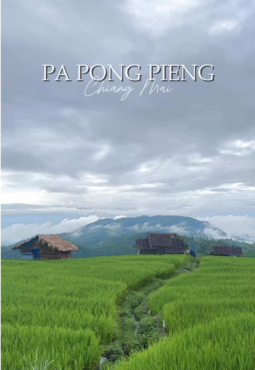 🏕️ กำเงินคนละ 700 บาท มานอนกลางนาขั้นบันไดบ้านป่าบงเปียง วิวดีแบบไม่ต้องใส่ฟิลเตอร์ ใครที่อยากไปเจอท้องนาสวยๆ แนะนำไปช่วงส.ค.-ก.ย. เลย ต้นข้าวฟูมากๆ 🍃🌾 📍พิกัดที่พัก : บ้านพี่ศรชัย โฮมสเตย์ป่าบงเปียง #ป่าบงเปียง #นาขั้นบันได #นาขั้นบันได้ป่าบงเปียง #โฮมสเตย์เชียงใหม่ #รีวิวที่พัก #เที่ยวเชียงใหม่ #2sistertoaround 