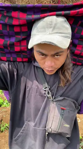 Bueratna manggul moal sabeurat tanggung jawab ka keluarga kitu mang acung@Acung Bergetarツ #petaniindonesia🇮🇩🇮🇩🇮🇩🌿🌿 #fypシ゚ #viral #carinafkah #kuli #lewatberanda #storypetani #kertasari #pacet #bawangdaun #bergetar #katakata 