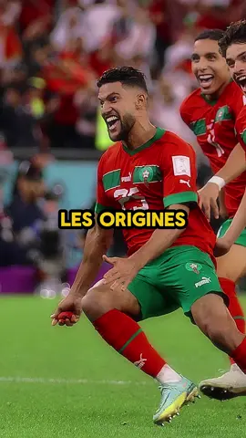 es origines les forte au foot dans le monde ! #tiktokfrance #tiktokfrance🇫🇷 #origine #foot