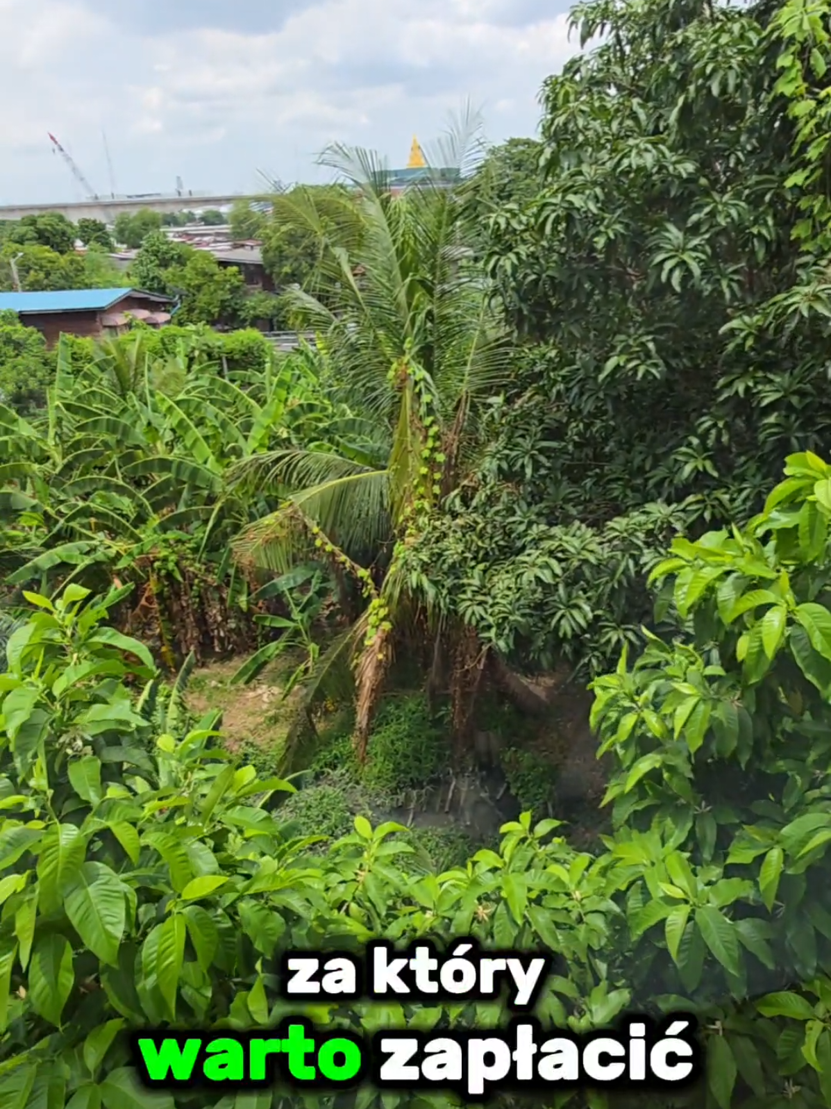 🌴 Nocleg w Tajlandii za grosze?  Podróżuj mądrze – nie drogo! ✈️  #Tajlandia #Podróże #Podróżnicy #Wakacje #Azja #Tajlandia2025 #Thailand #EgzotyczneWakacje #PolacywTajlandii #PolacyZaGranicą  #TaniePodróże #TanieNoclegi #TaniHotel #NoclegWTajlandii #PodróżNaBudżecie #PodróżeZaGrosze #BudżetoweWakacje  #HotelTajlandia #TajskieHotele 