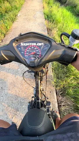 😇😇#revojambi #revojambi #goibjambi #revostandar110cc #fyp 