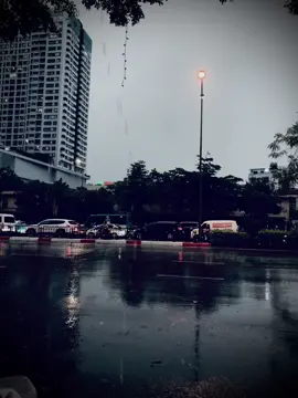 👤#phamyen🍁 #xuhuongtiktok 