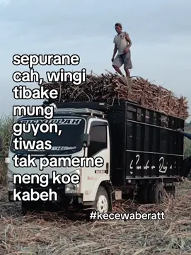 sepurane cah 😮‍💨 #CapCut  #kecewa_sedih #kisinan 