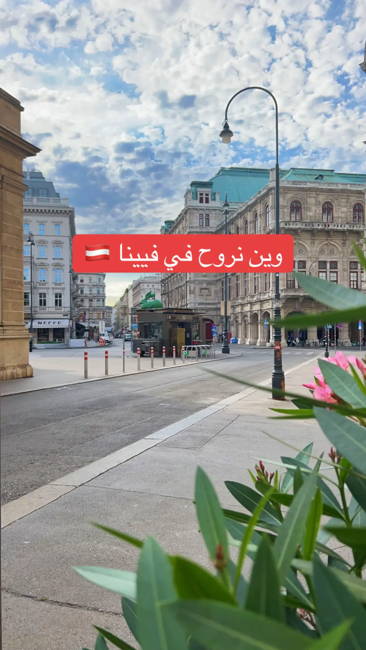#vienna  #فيينا_النمسا🇦🇹 #مطاعم_فيينا #fyp #explore 
