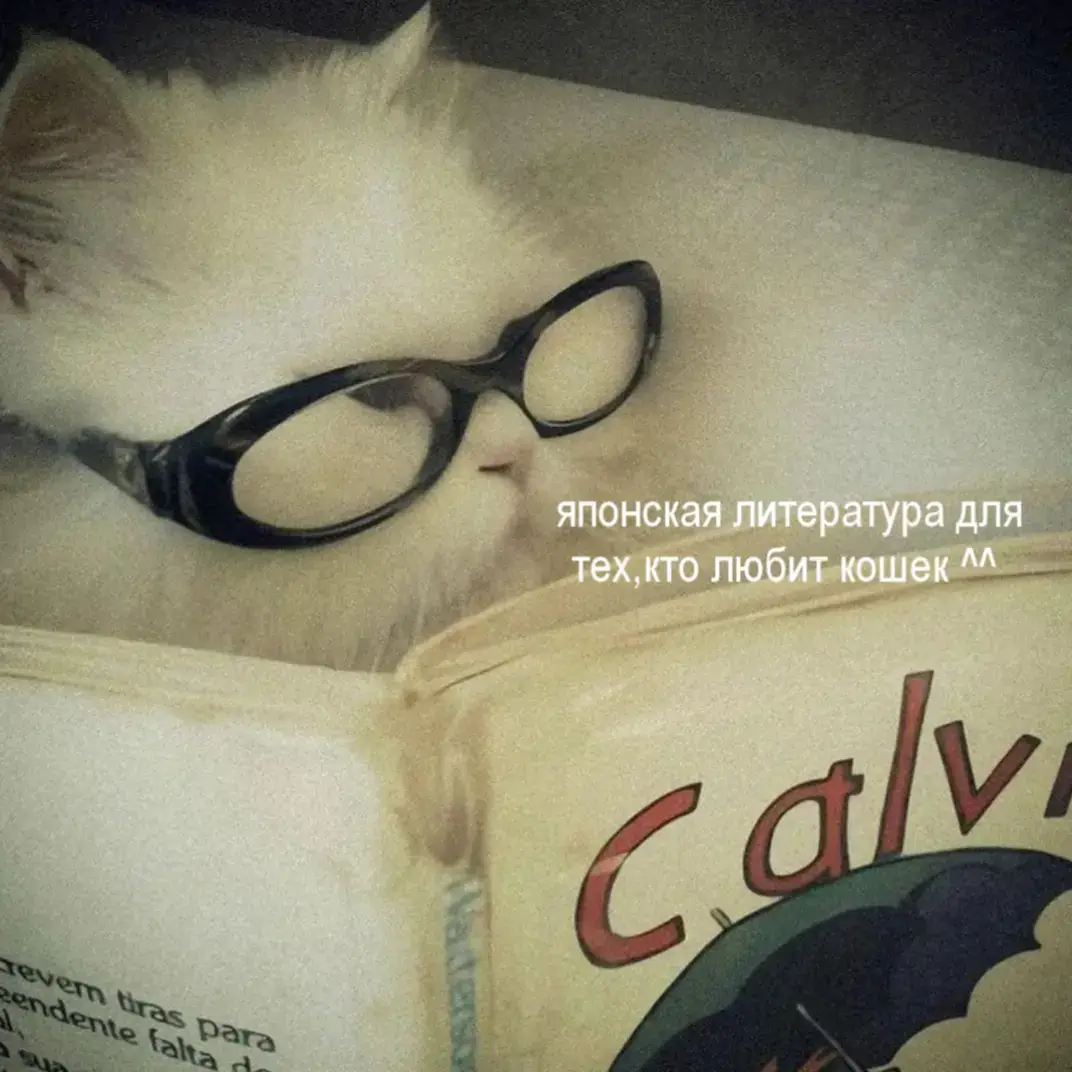поддержите комментарием и лайком( и подпишитесь тоже 🤏🏻) #japaneseliterature #япония #японскаялитература #книги ##BookTok 