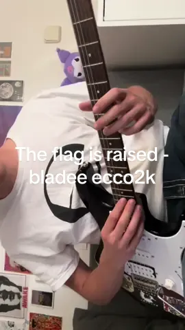 The flag is raised with electric guitar 😸 #draingang #bladee #ecco2k #yunglean #guitar #fyp #videoviral 