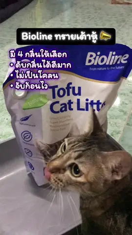 #ไอโอไลท์ทรายเต้าหู้ ดับกลิ่นดีมาก จับก้อนไว ไม่เป็นโคลนติดก้นกระบะ #ราคาหลักสิบ.- #แนะนำทาสแมว ❤️