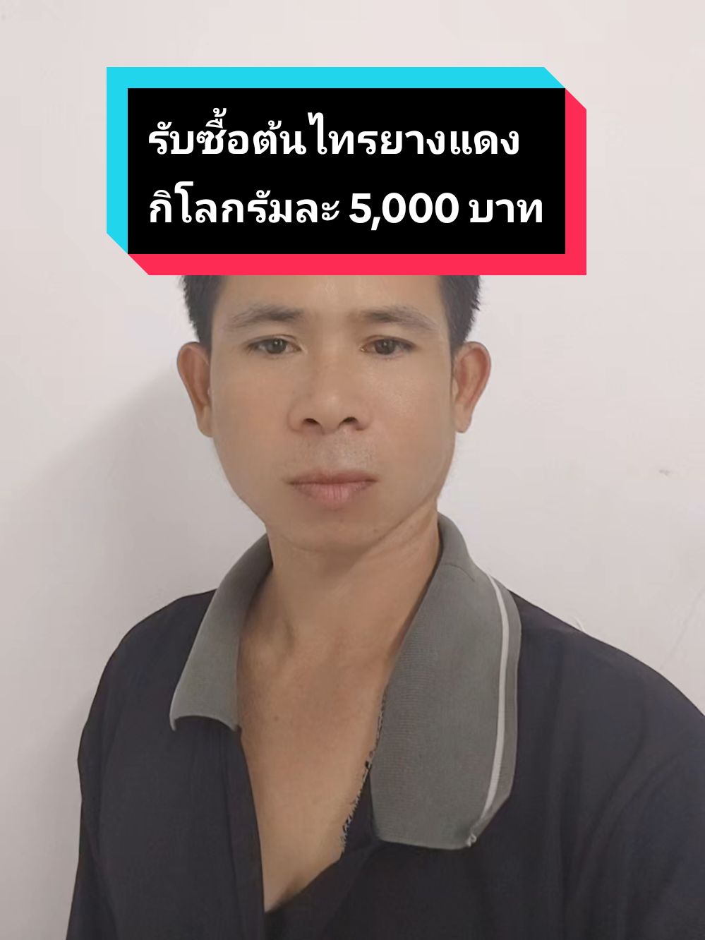 ตอบกลับ @user2681693663044 รับซื้อต้นไทรยางเเดง#กัมพูชา #ลาว #กัมพูชา #ของหายาก #รู้จากติ๊กต๊อก #แม็กรับซื้อของเก่าของหายาก  @แม็ก ซื้อของเก่า ของหายาก @แม็ก ซื้อของเก่า ของหายาก 