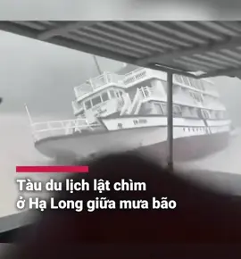 🆘Khoảnh khắc cuối cùng: chiếc tàu Vịnh Xanh, Hạ Long lật chìm trưa nay🔥 Thông tin ban đầu: trên tàu có khoảng hơn 40 người. Hiện đã vớt dc x:á..c 3 người, c-ứ:u được 8 người sống sót. Số còn lại chưa tìm thấy.. R.IP