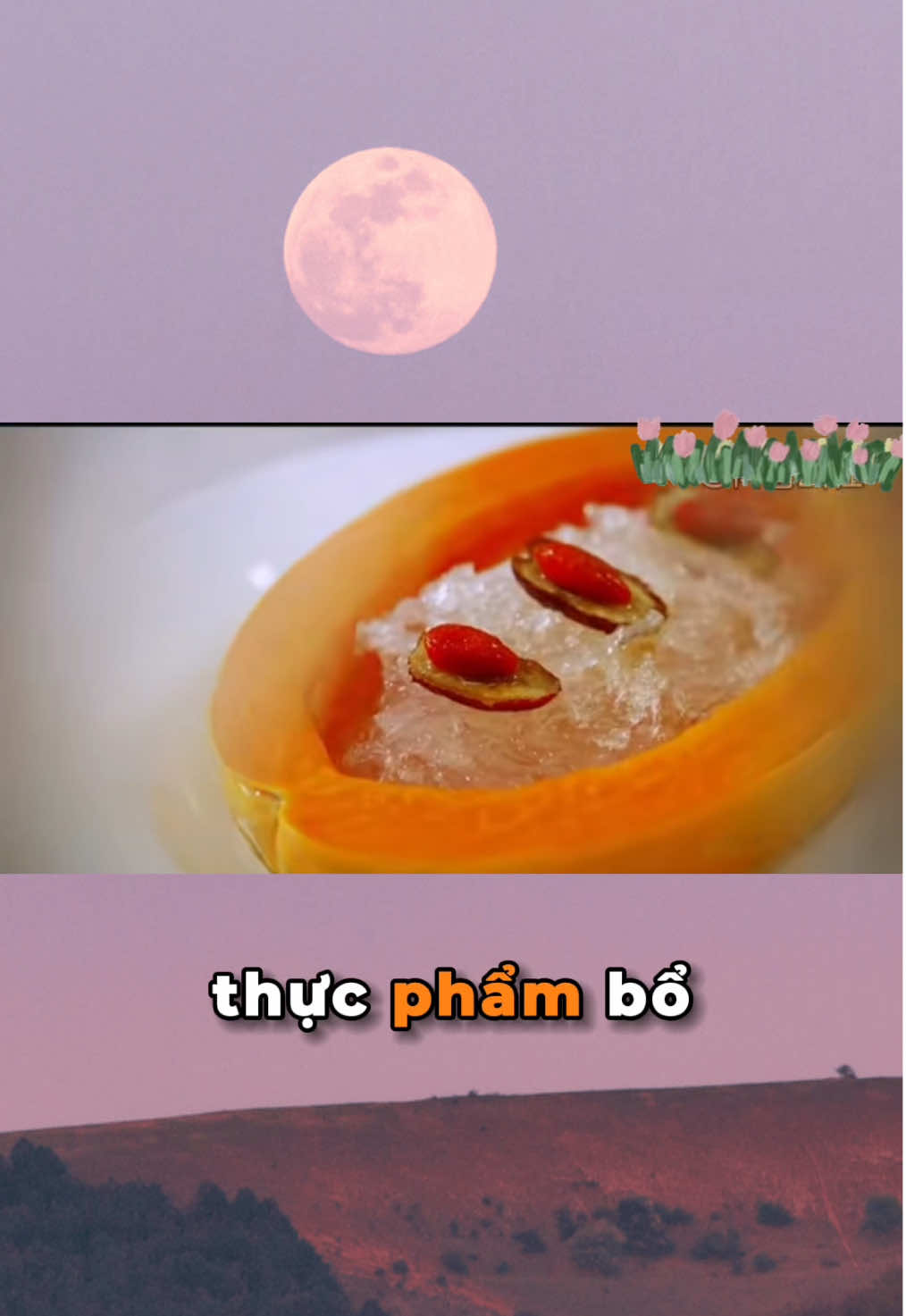 Tổ yến thực chất là gì? (P1) #YenSaoVietNam #TuHaoHangViet #HangVietVuonMinh #AkaNest #ToYen