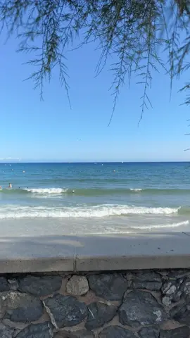 Bon Samedi à tous 😀🍀 🌊☀️ ✨ #BeachVibes #JournéeParfaite #PlageLovers #SummerFeels #Vacances2025”