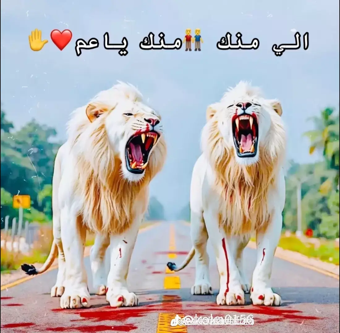 #اخويا البعجور#اخصام_سهله🥷⚔️🖤 #explore #capcut  عموور🤴🏻🥷🏻#@مصطفى الغزال☠️ 