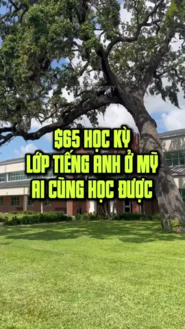 LỚP HỌC TIẾNG ANH GIÁ RẺ Ở MỸ! #tonythichmy #florida #bấtđộngsản #realestate #mỹ #usa #immigration #Lifestyle #singlehouse #tampa #orlando #miami #nhà_đẹp #nhàmỹcógiábaonhiêu #zillow #realtor #tax #LearnOnTikTok #visaeb5 #eb5 #eb3 #cuocsongmy 