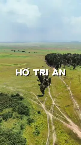 Trả lời @Tuyendidaudo Bạn có biết Hồ Trị An vào Mùa Khô thì sẽ có Vẻ Đẹp như thế nào Không? #cungtamdivietnam #phuot #dulich #vietnamtuoidep #hotrian 
