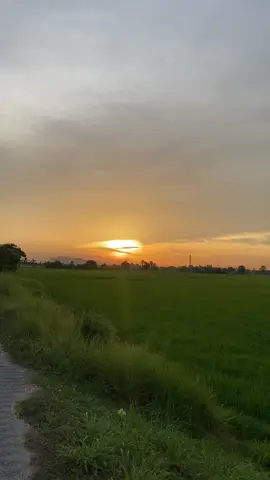 🧡