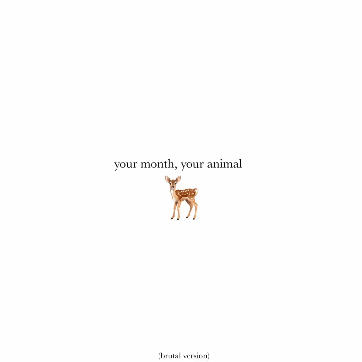 #yourmonth #animal #slideshow #tagyourfriends #foryou #brutal #psychology #colplayaffair 
