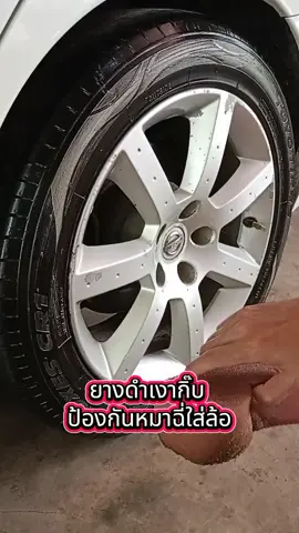 ยางดำเงาป้องกันหมาไม่ให้ฉี่ใส่ล้อ #ยางดำเงา #น้ำยาทายางดำ #น้ำยาทายางเงา #อุปกรณ์ดูแลรถ #น้ำยาลงยาง 
