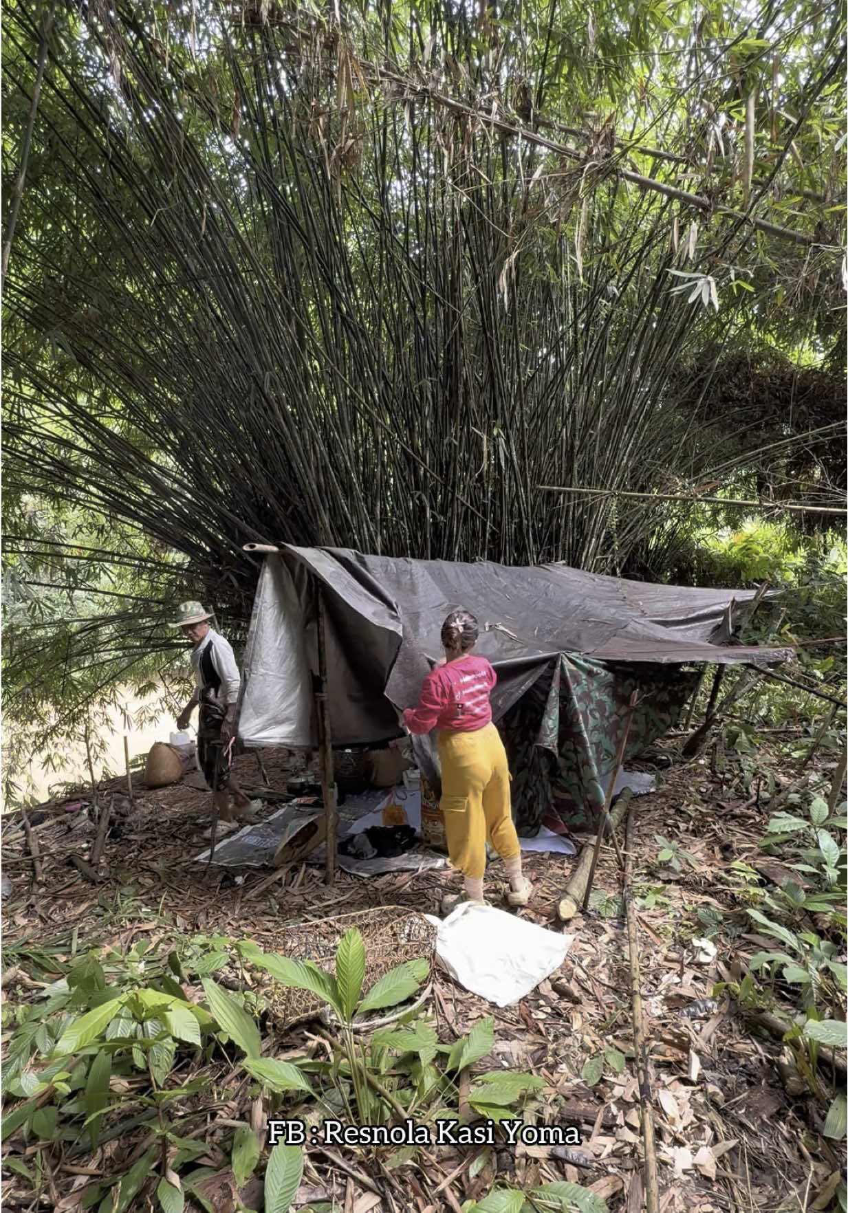 Bongkar tenda di tengah hutan 🤗