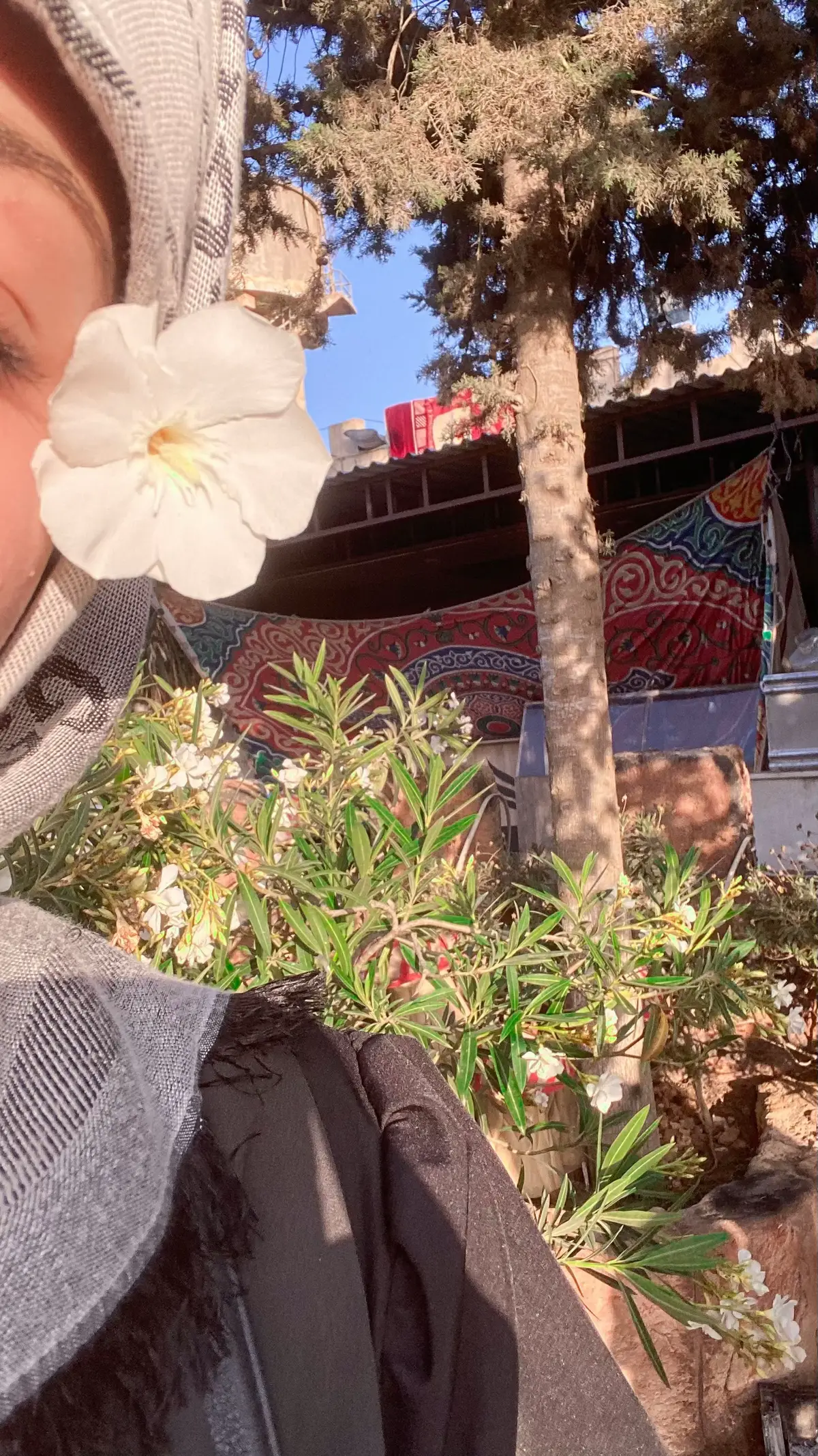 #هواجيس #fyp #ليبيا🇱🇾 #البيضاء_الجبل_الاخضر❤🔥 #libya #foryoupage 