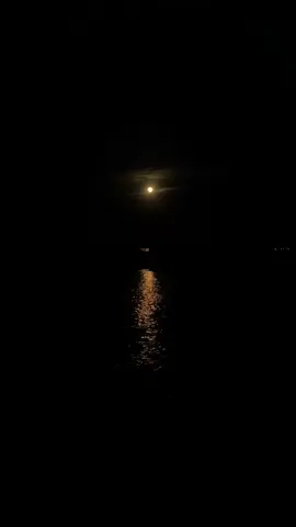 Mình anh cô đơn bên sứ người#hànquốc#xuhuongtiktok 