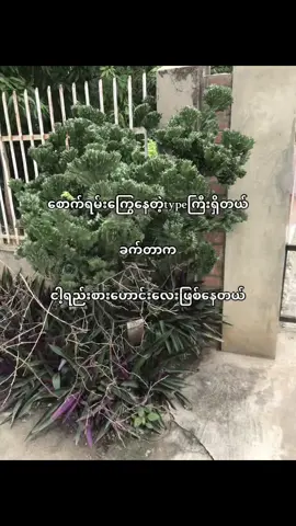 #🥹#moots?? #fyppppppppp #foryououb4youdo #crdtext @TikTok 