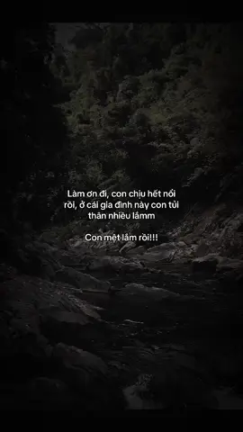 #aplucgiadinh 