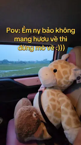 May quá tối ko phải ngủ gầm cầu#gaubonghuoucao #huoucaocogaubong#gaubonghuou#gaubong #gaubongquatangthubong #gaubongquatang 