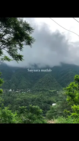 Saiyaara tu toh badla nahin hai ! . . . . . Saiyaara, ahaan pandey, aneet padda, Mohit sori, Faheem abdullah, Barbaad, box office #saiyaara #ahaanpanday #mohitsuri #boxoffice #sad  #trending #tiktok 