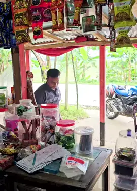 #tiktok #trend #highlights #virals #everyone 