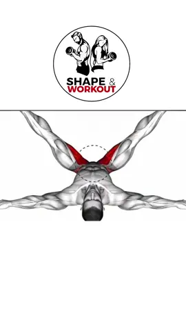 Most People Ignore This Groin Exercise (Feel the Results Instantly)