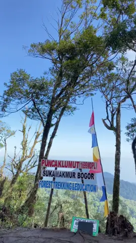 #puncaklumut #sukamakmur #cerah #fyp 