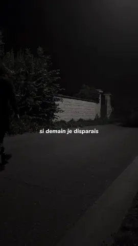 Si demain je disparais… 🥺 #motivation #business #mindset #fyp 