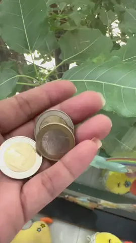 គ្មានអ្វី free ទេលើលោកនេះ! 