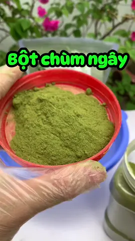 Bột lá chùm ngây Thảo Dược Việt #bộtchùmngây #chùmngây 