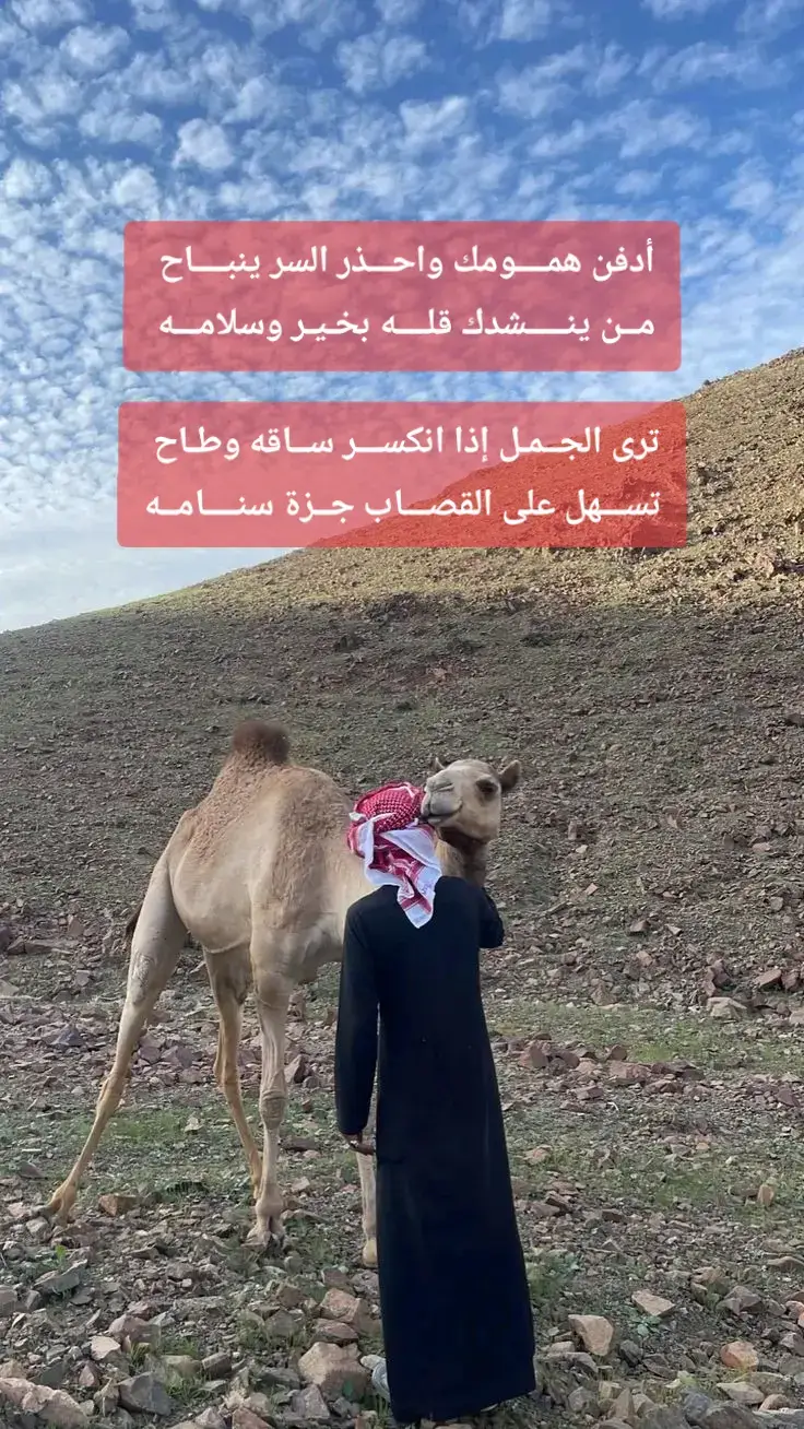 #foryou #foryou #foryoupage #قصيد #cute #bts #fypシ #fyp #قصايد #شعروقصايد #شعراء_وذواقين_الشعر_الشعبي #الهموم #السلامه #الناس 