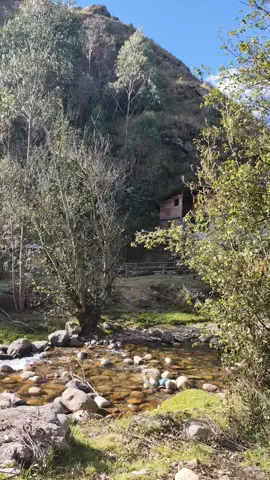 unirnos para siempre✨#paratii #fouryou #viralvideos #valledelmantaro #naturaleza #fypシ゚ #viral #video #viaje #huancayo #campo #florpucarina #huayno 