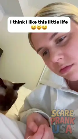 I think I like this little life 😀😀😀#funny #funnyvideo #scared #scarecam #scary #foryou #scareprank #prank 