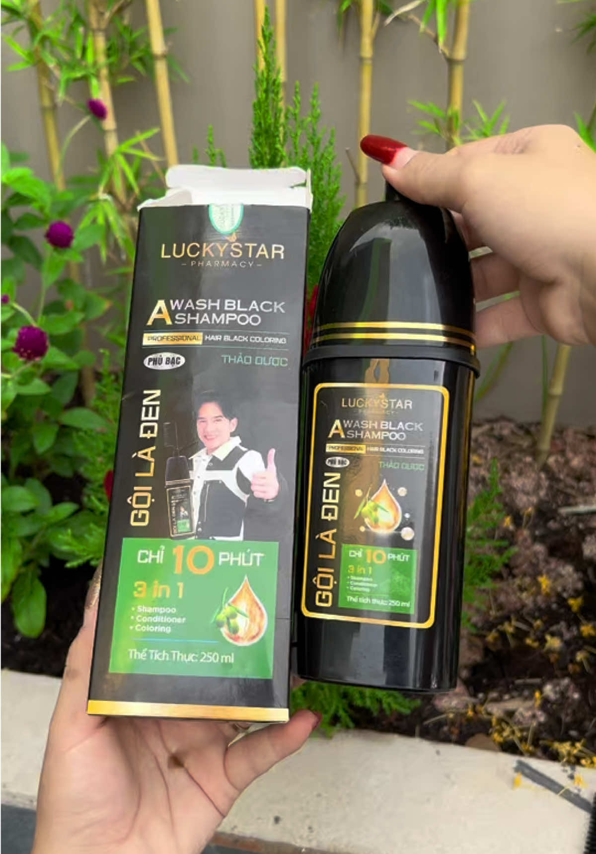 Dầu gội phủ bạc Thảo dược Luckystar gội là đen##emkieutaphoa##daugoiphubac##luckystar##daugoiphubacluckystar
