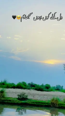 #foryour #foryouu #foryoupage❤️❤️ #foryoupage❤️❤️ #saraiki #saraikisong #saraiki__status #saraikistatus #status #statusvideo #ahmadnawazcheena #ahmadnawazcheena #ahmadnawazcheena #چھینہ_بس_مریں_نہ💔🙏😔 #چھینہ_آخری_ہیں_توں #سنگت_ویڈیو_وائرل_کریسو_آپ_ہیں🥀🌼🙈✨🎇 #سنگت_ویڈیو_وائرل_کریسو_آپ_ہیں🥀🌼🙈✨🎇 #foryoupage❤️❤️ #saraiki 