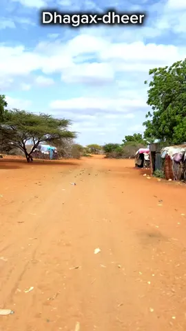 #dhagaxdheer #togdherburcosomaliland💚🤍❤️ #somalitiktok #somalilandtiktok💚🤍❤ 