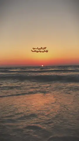 #u #s #e #f #alexandria #foryou #sea #view #amrdiab #photographytips #photographer #photoshoot #photoshoot 